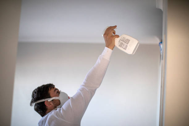 Best Fast Mold Removal  in Lake Hopatcong, NJ