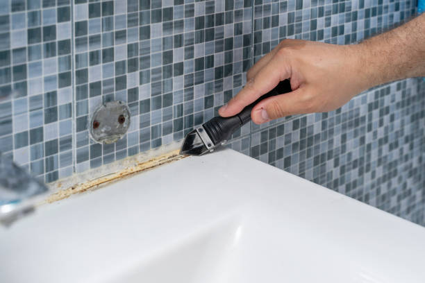 Best Mold Damage Repair  in Lake Hopatcong, NJ
