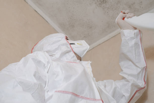 Best Crawl Space Mold Removal  in Lake Hopatcong, NJ