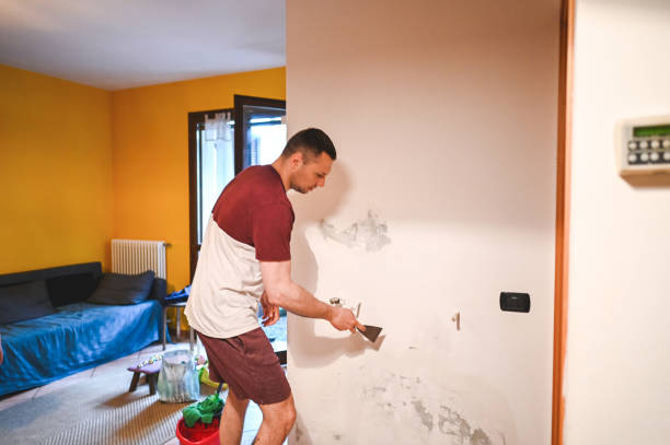 Certified Mold Removal in Lake Hopatcong, NJ